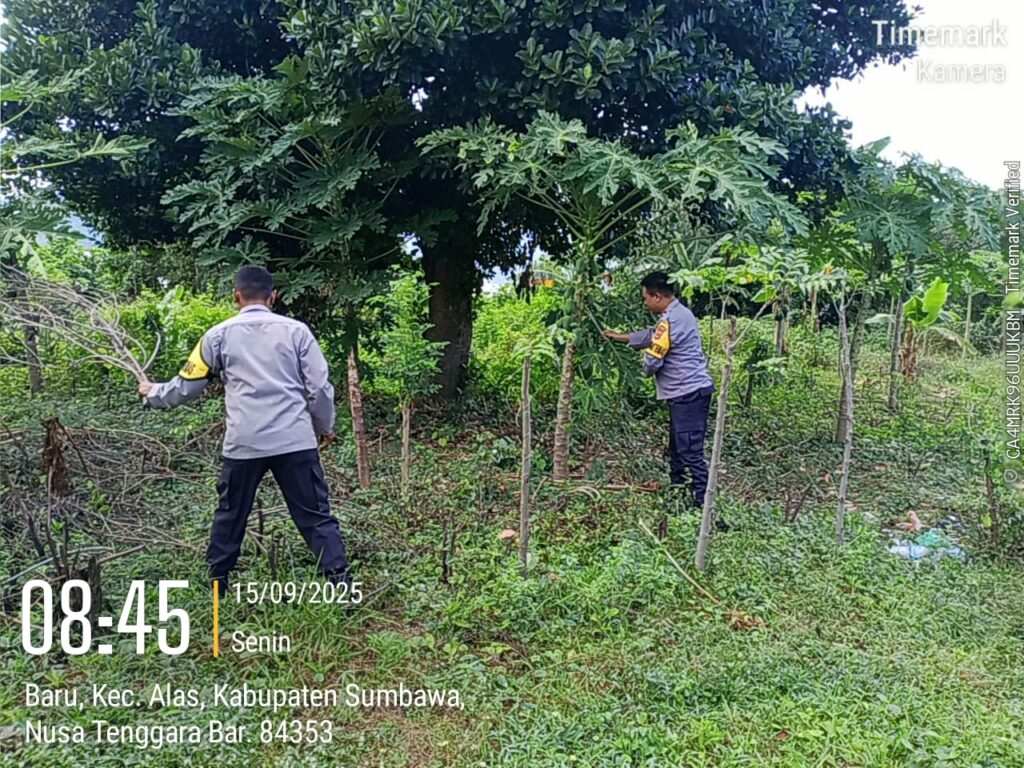 WhatsApp Image 2025-09-15 at 12.45.58_4a12fdec