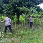 WhatsApp Image 2025-09-15 at 12.45.58_4a12fdec