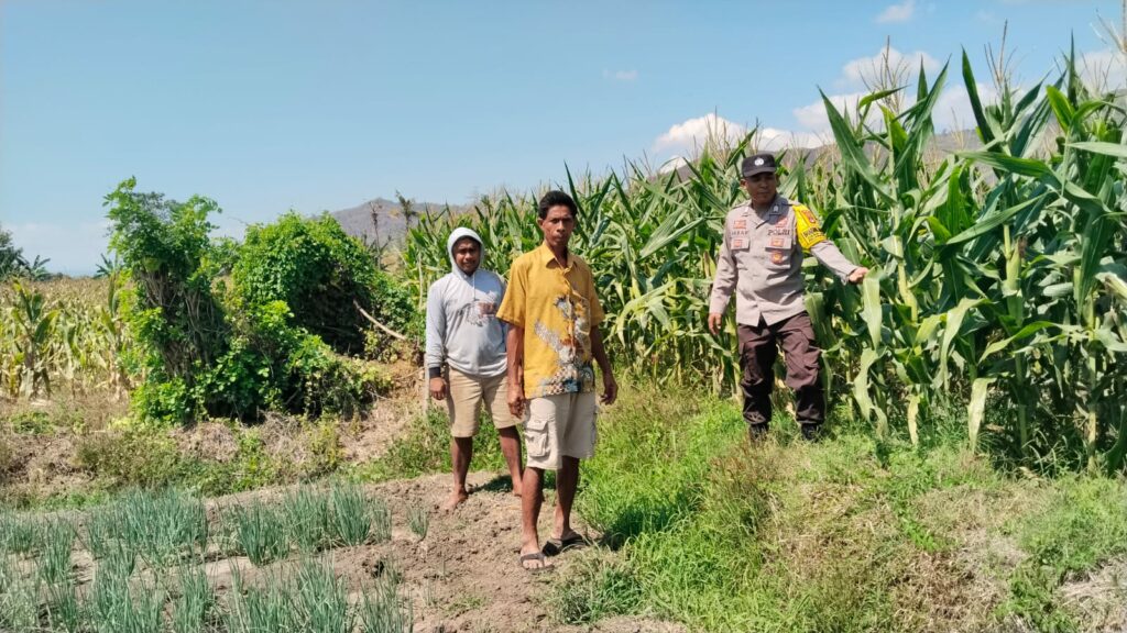 WhatsApp Image 2025-09-16 at 11.47.06