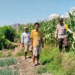 WhatsApp Image 2025-09-16 at 11.47.06