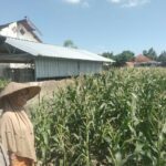 Sinergi Polri dan Petani di Desa Labuapi untuk Perkuat Ketahanan Pangan Nasional