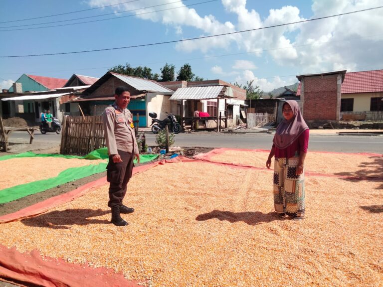 WhatsApp Image 2025-09-24 at 10.01.15 (1)