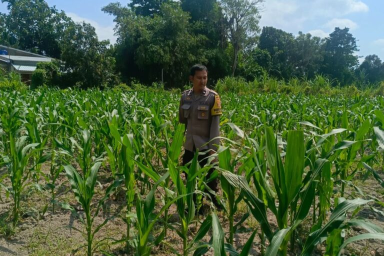 WhatsApp Image 2025-09-24 at 11.37.35 (1)