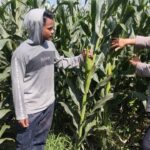 WhatsApp Image 2025-09-27 at 10.40.04