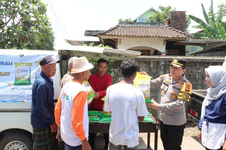 Lombok Barat Produksi 20 Ton Jagung dalam Panen Serentak, Bulog Pastikan Serap Hasil Petani