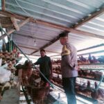 WhatsApp Image 2025-09-28 at 10.05.01