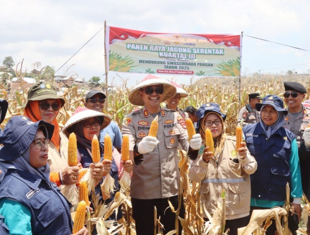 WhatsApp Image 2025-09-28 at 10.17.13