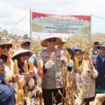 WhatsApp Image 2025-09-28 at 10.17.13