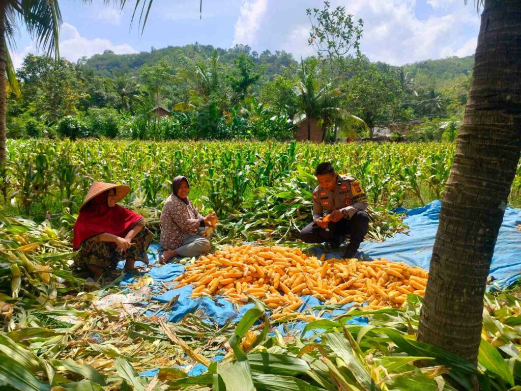 Sinergi Polri dan Petani Eyat Mayang untuk Perkuat Ketahanan Pangan Nasional