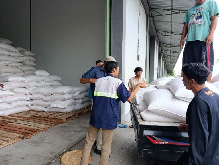 Bulog Mataram Serap 3,4 Ton Jagung Petani Gerung dengan Pengawalan Polisi
