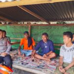 WhatsApp Image 2025-09-26 at 10.17.22