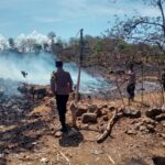 WhatsApp Image 2025-10-01 at 10.23.35