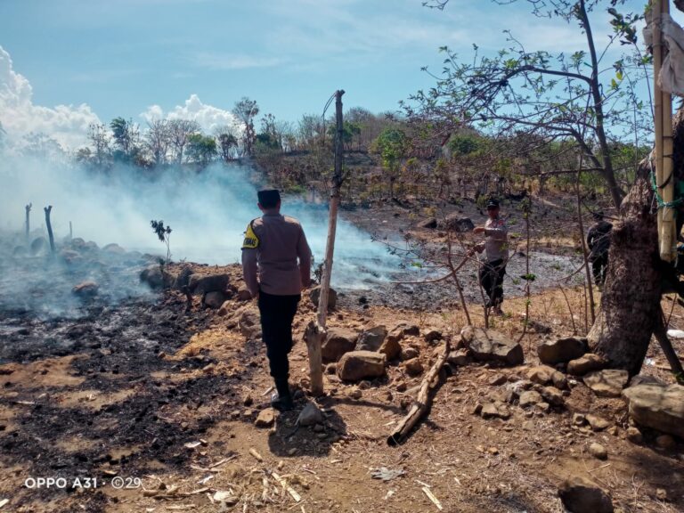 WhatsApp Image 2025-10-01 at 10.23.35