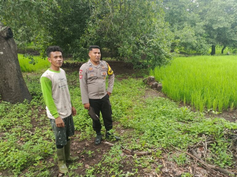 WhatsApp Image 2025-10-03 at 16.05.32