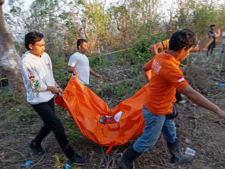 WhatsApp Image 2025-10-04 at 18.14.15