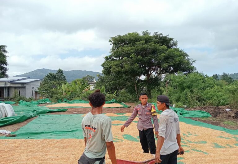 WhatsApp Image 2025-10-05 at 13.54.31