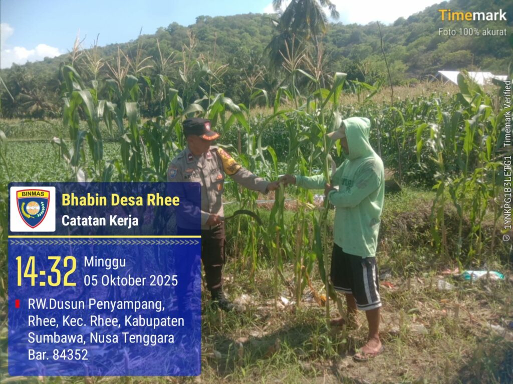 WhatsApp Image 2025-10-06 at 06.35.59_6a190fb4