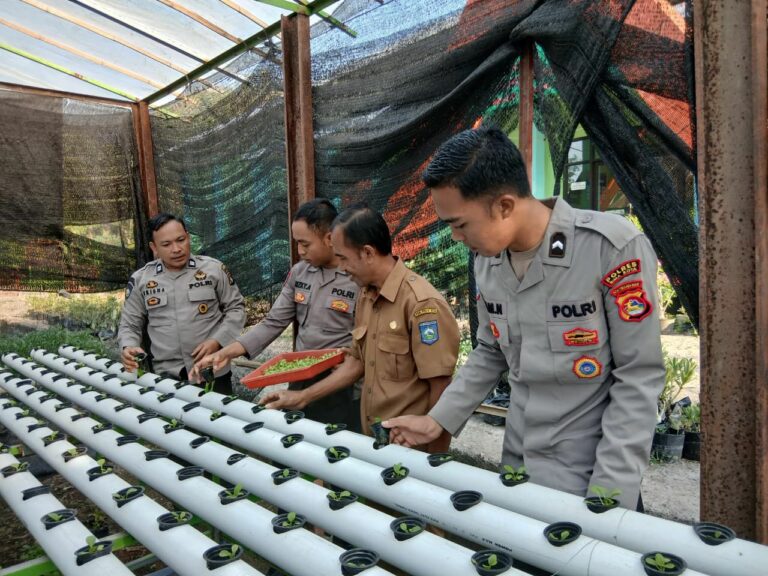 WhatsApp Image 2025-10-06 at 11.55.06