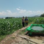 WhatsApp Image 2025-10-06 at 15.48.05