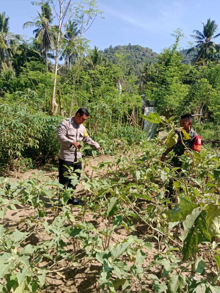 WhatsApp Image 2025-10-07 at 09.08.59