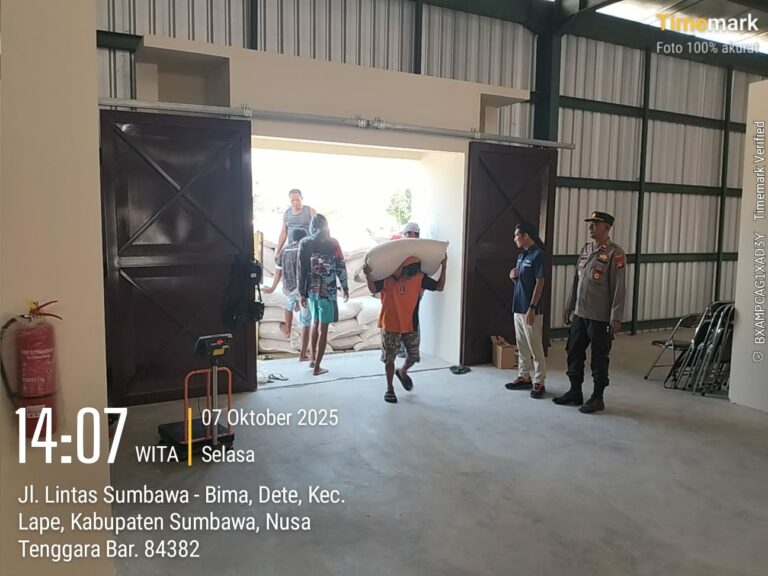 WhatsApp Image 2025-10-08 at 07.51.39_5164dd5a