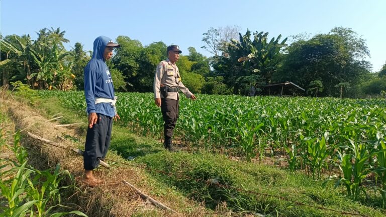 WhatsApp Image 2025-10-09 at 08.13.22_98852f97