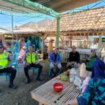 WhatsApp Image 2025-10-11 at 09.41.04 (1)