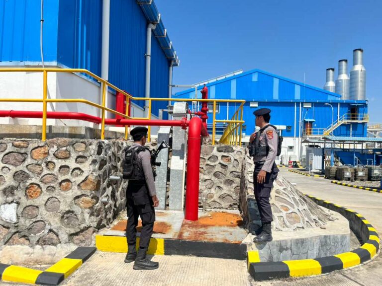 WhatsApp Image 2025-10-13 at 10.20.41