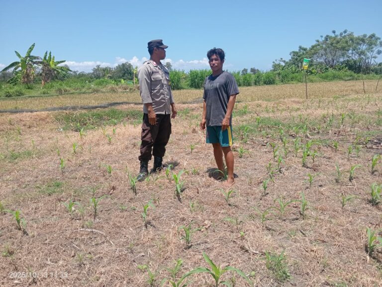 WhatsApp Image 2025-10-13 at 14.06.41