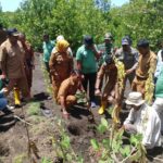 WhatsApp Image 2025-10-13 at 19.17.29