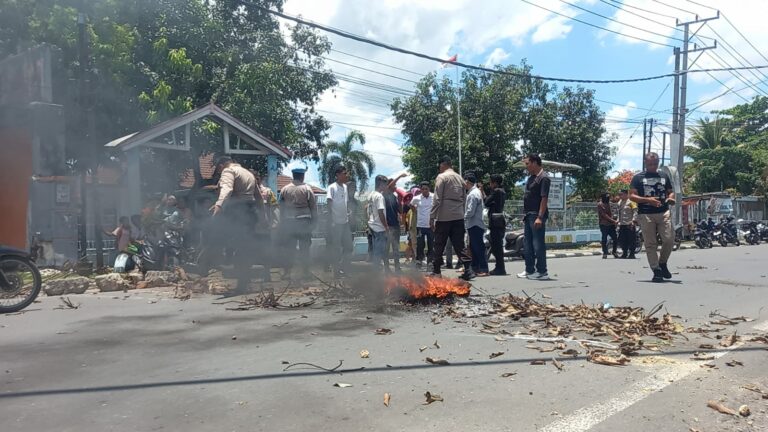 WhatsApp Image 2025-10-15 at 19.16.46