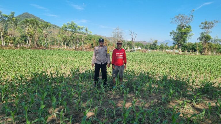 WhatsApp Image 2025-10-19 at 21.15.05