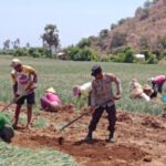 WhatsApp Image 2025-10-21 at 11.30.30