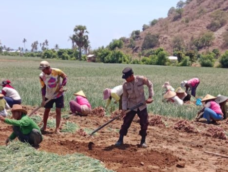 WhatsApp Image 2025-10-21 at 11.30.30