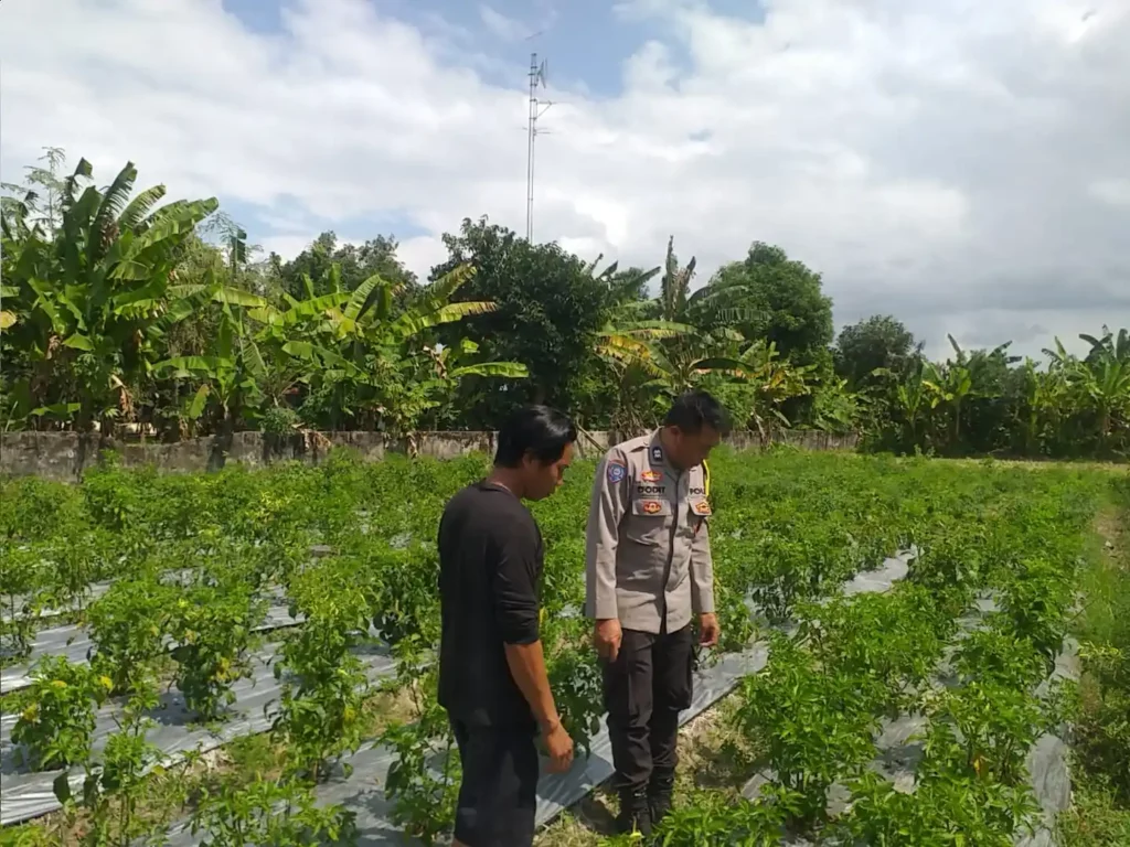 Dorong Kemandirian Pangan Keluarga, Bhabinkamtibmas Dampingi Warga Olah Lahan