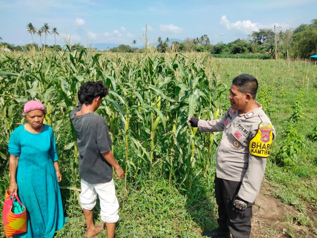 WhatsApp Image 2025-10-21 at 14.45.37