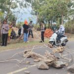 WhatsApp Image 2025-10-21 at 19.02.46