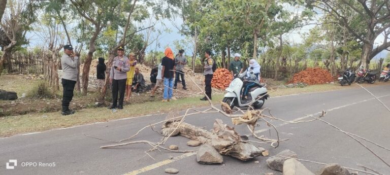 WhatsApp Image 2025-10-21 at 19.02.46