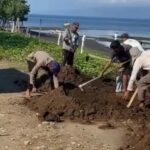 WhatsApp Image 2025-10-25 at 00.12.56