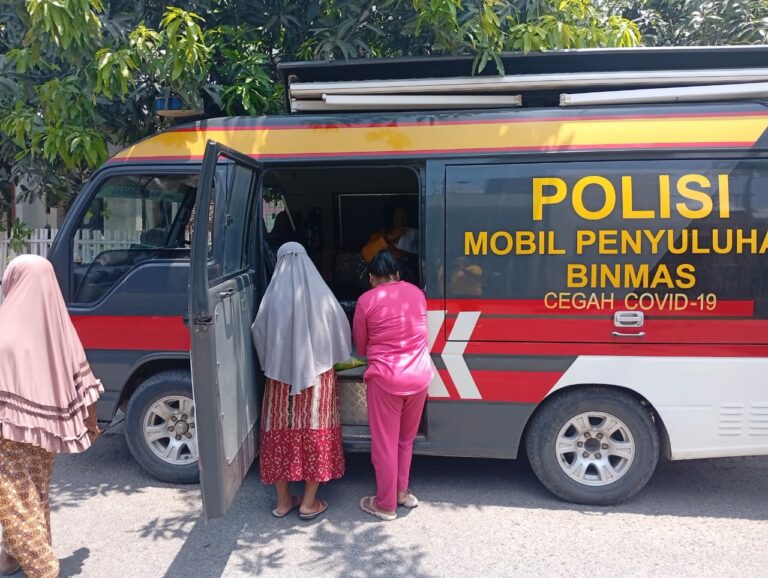 WhatsApp Image 2025-10-25 at 11.53.47