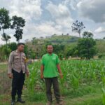 WhatsApp Image 2025-10-28 at 14.14.52