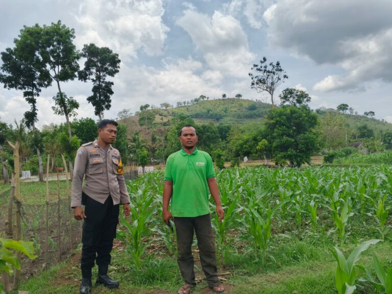 WhatsApp Image 2025-10-28 at 14.14.52