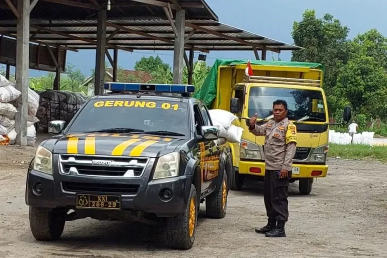 Jagung Petani Gerung Lolos Standar Bulog, Harga Aman dan Stabil