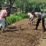 WhatsApp Image 2025-10-30 at 08.57.46