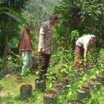 Inovasi Polsek Batulayar: Pertanian Mandiri Jaga Ketahanan Pangan Keluarga