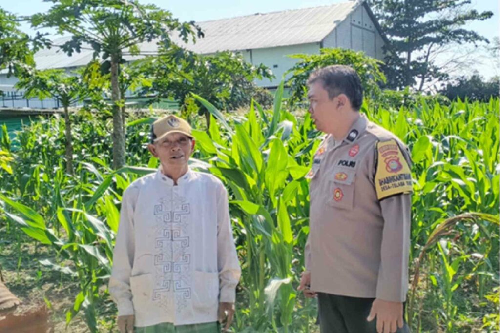Sinergi Polsek Labuapi dan Warga Perkuat Pangan Lombok Barat