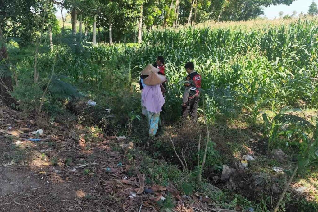 Patroli Ketahanan Pangan: Sinergi Polres Lobar dan Petani Jagung
