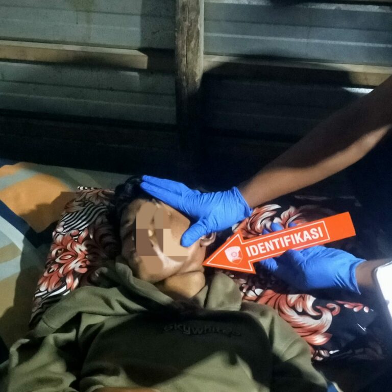 WhatsApp Image 2025-11-05 at 20.27.16