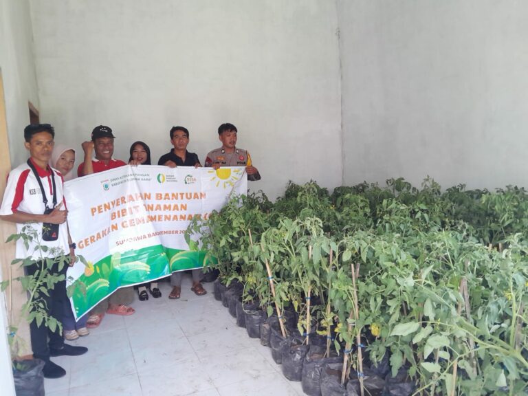 WhatsApp Image 2025-11-06 at 09.37.37