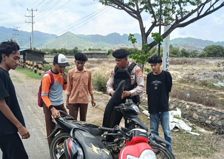 WhatsApp Image 2025-11-08 at 07.53.11